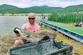 Netypický úlovok na kaprárskych pretekoch. Sumec s dĺžkou 120 cm vzal zig-rig v stĺpci.