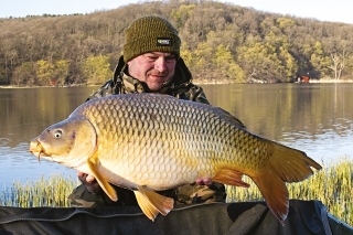 Pekne stavaný, 18-kilový kapor.