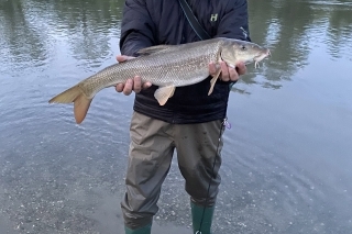 Pani fúzatá svojou
bojovnosťou takisto zahreje našu prívlačiarsku dušičku.