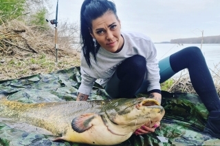 Úžasne do zelena vyfarbený sumec.