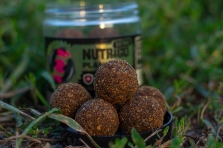 Nutrigo Plankton nie je jedinou obľúbenou nástrahou, ale opakovane už ukázal svoje silné stránky.