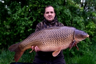 Bezchybný šupináč s hmotnosťou 15 kg.