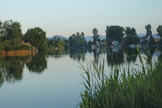 Strieborný rytier