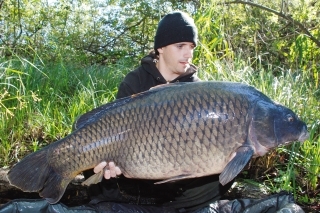 Svalnaté a čierne telo; ryba, o ktorej som sníval, keď som sa chystal na Ossieacher See. Avšak veľkosť tamojších rýb ma úplne šokovala.