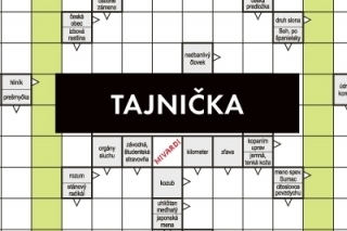 Krížovka
