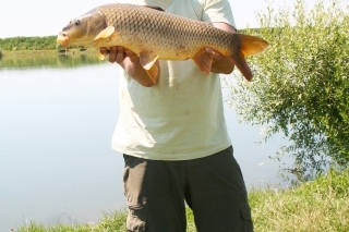 Redakcia v Abovciach 11
