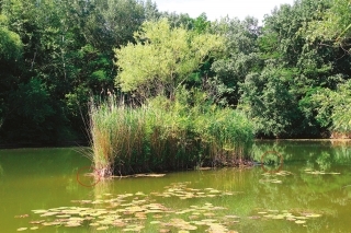 Ostrovy - montáže umiestňujem vždy  po oboch okrajoch, zasa to závisí od smeru vetra a ročného obdobia.