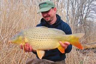 Februárový kaprík chytený na boilies 3 fruit z hrany vzdialenej cca 90 m od brehu.