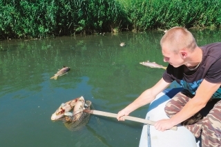Najviac rýb sa vyzbieralo z člna.