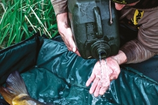 Starostlivosť o ulovenú rybu by mala byť na prvom mieste. Kapra v podložke musíme poriadne polievať.