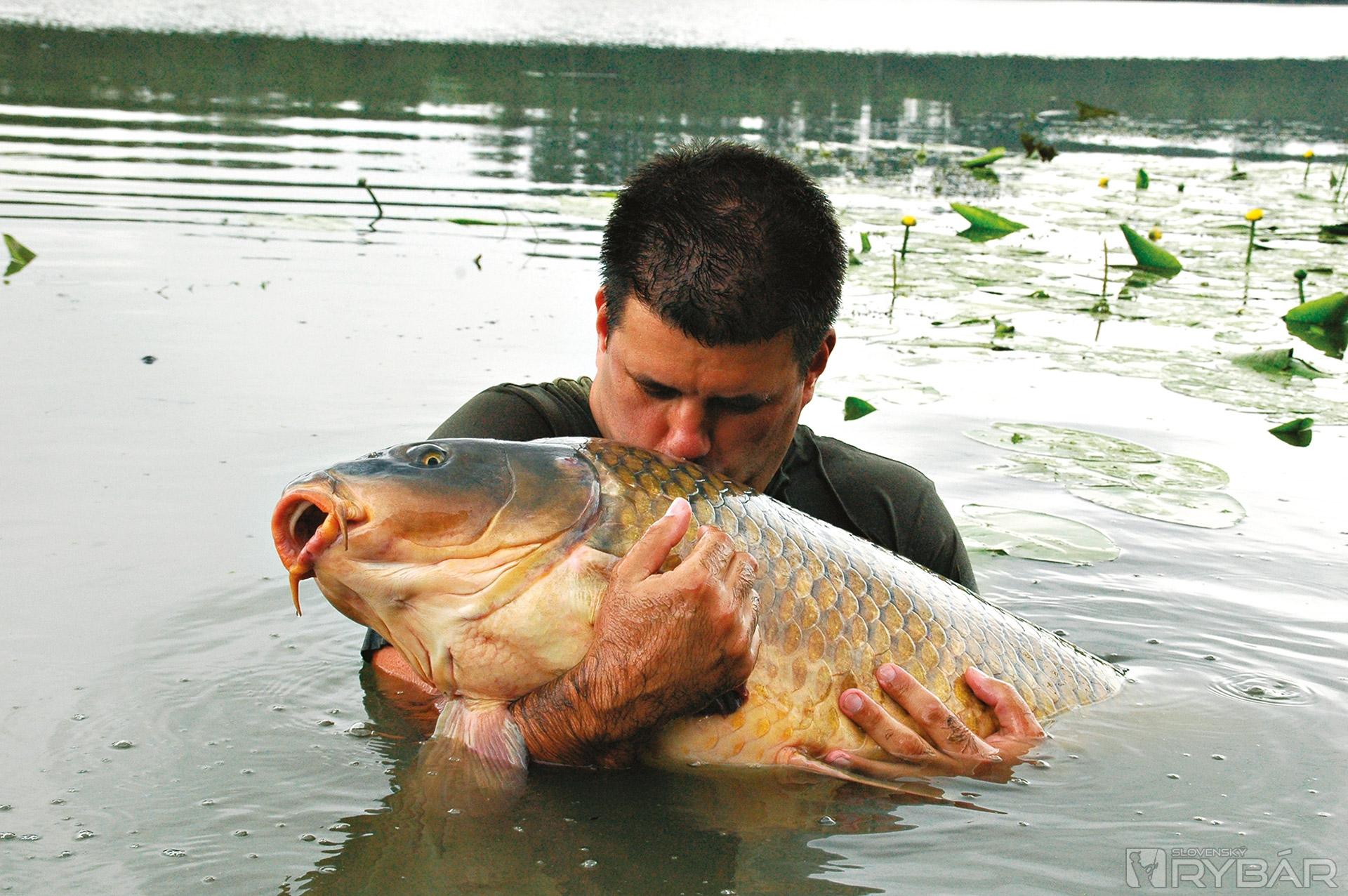 Dunajský, 24,8 kg šupináč ulovený viac ako meter nad bahnom.