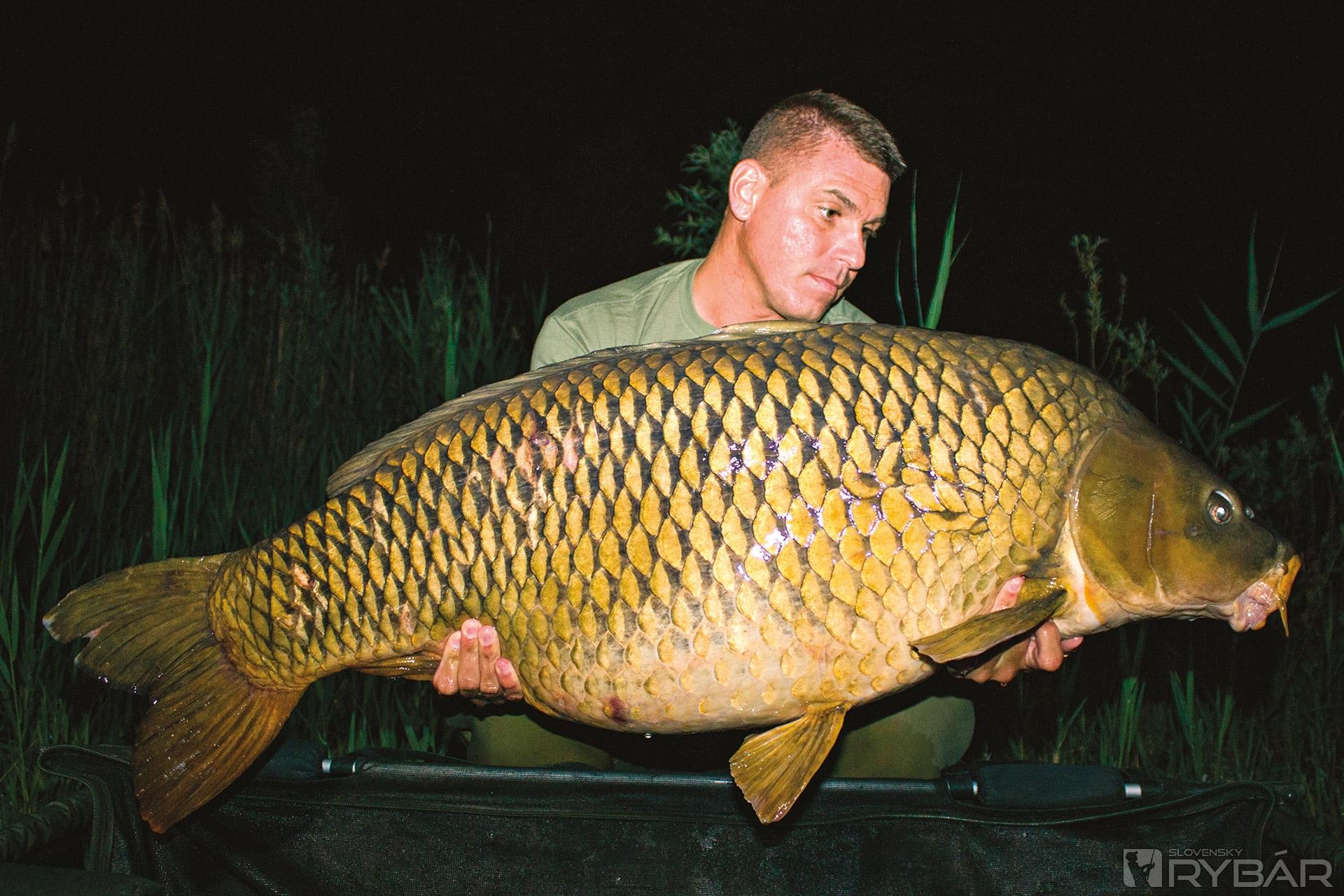 Tento nepolapiteľný, 33,7 kg šupináč údajne zmizol. Napriek tomu, so zmenou v taktike, ho náš tímový rybár Tomi ulovil.