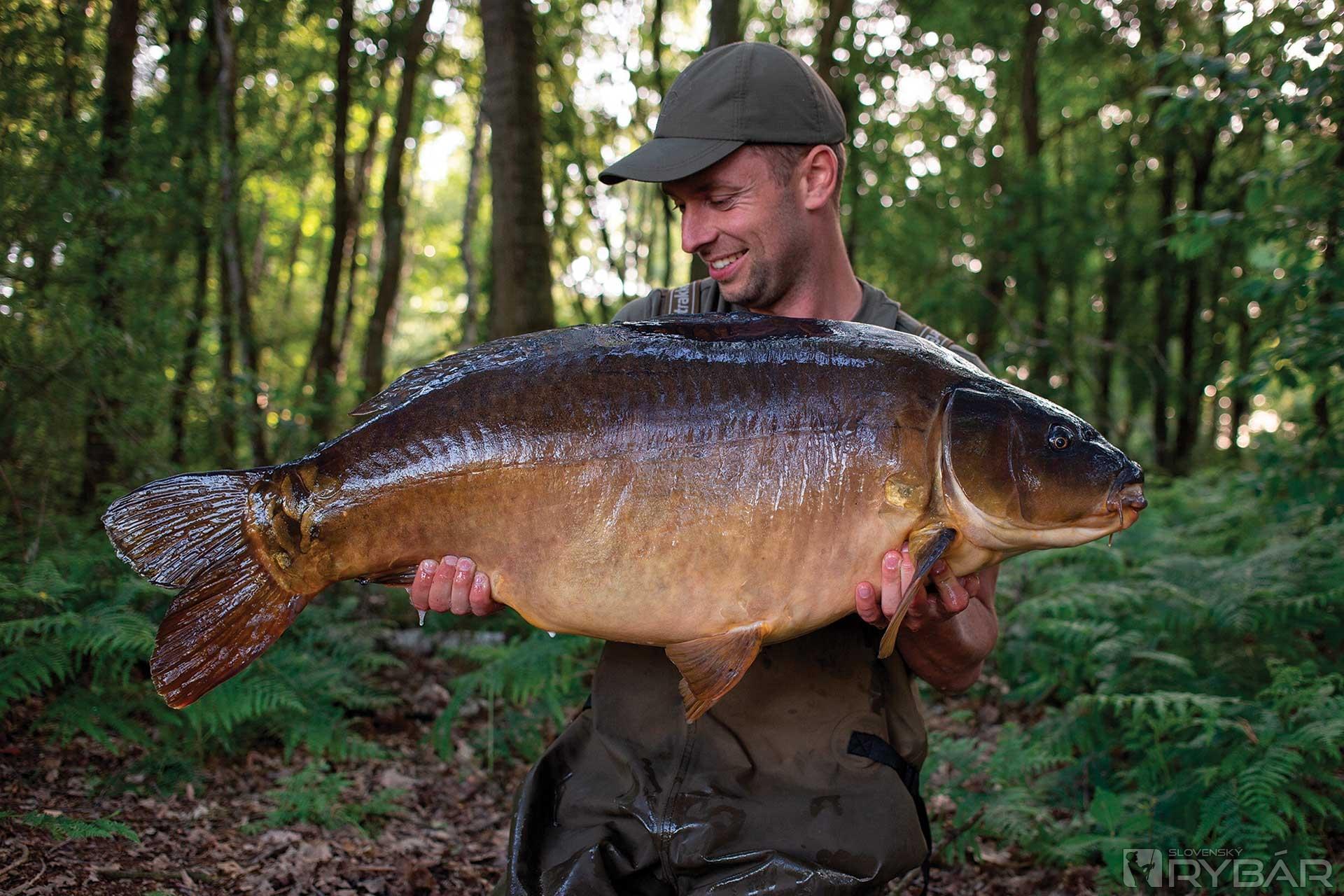 Pop-up boilies majú na konte väčšinu mojich ulovených rýb.