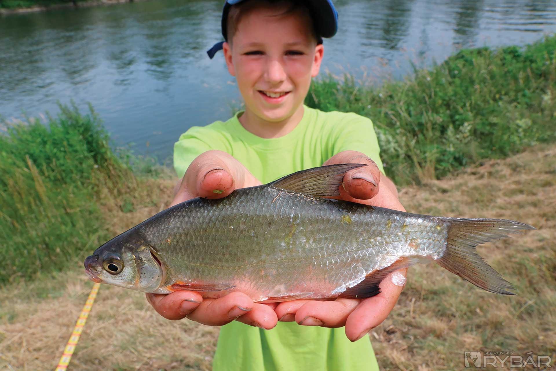 Aj malinká ryba potešila Dávida Piešťanského z Chtelnice.