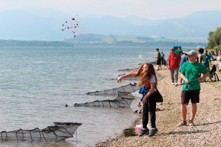 Lov na plávanú a feeder na Liptovskej Mare.