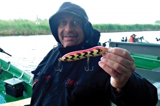 Salmo maas marauder.