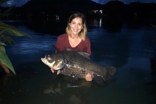Siamský kapor – 25 kg.