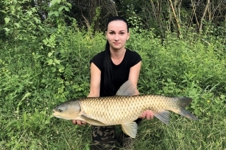 Krásny amur chytený v Rohožníku.