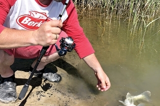 Menšie ryby sa stále zdržujú na zlomoch.