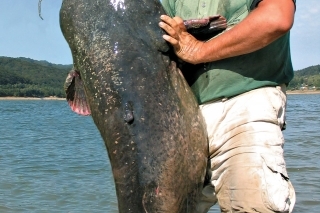 Sumec ulovený pomocou vábničky – 97 kg. V tom čase to bol svetový rekord sumca uloveného vábničkou na jazere.