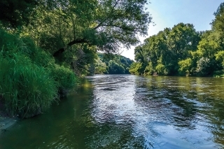 Rieka v plnej kráse.