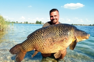 Pokochajte sa:
kapor 20,20 kg,
tzv. poledňáček.