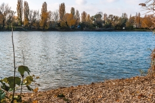 Na brehu jazera.