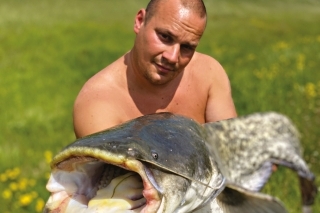 Talianske sumce na dvakrát - 2. časť 1