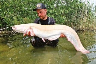 Môj prvý albín 
s dĺžkou 123 cm.