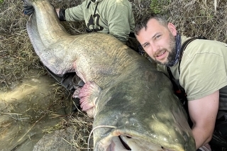 Veľkí fúzači španielskeho rybárskeho raja