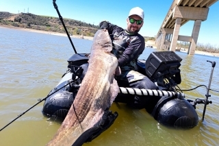 180 cm sumec chytený z bellyboatu, ktorý sme vyskúšali prvýkrát 
v živote. Skvelý zážitok!