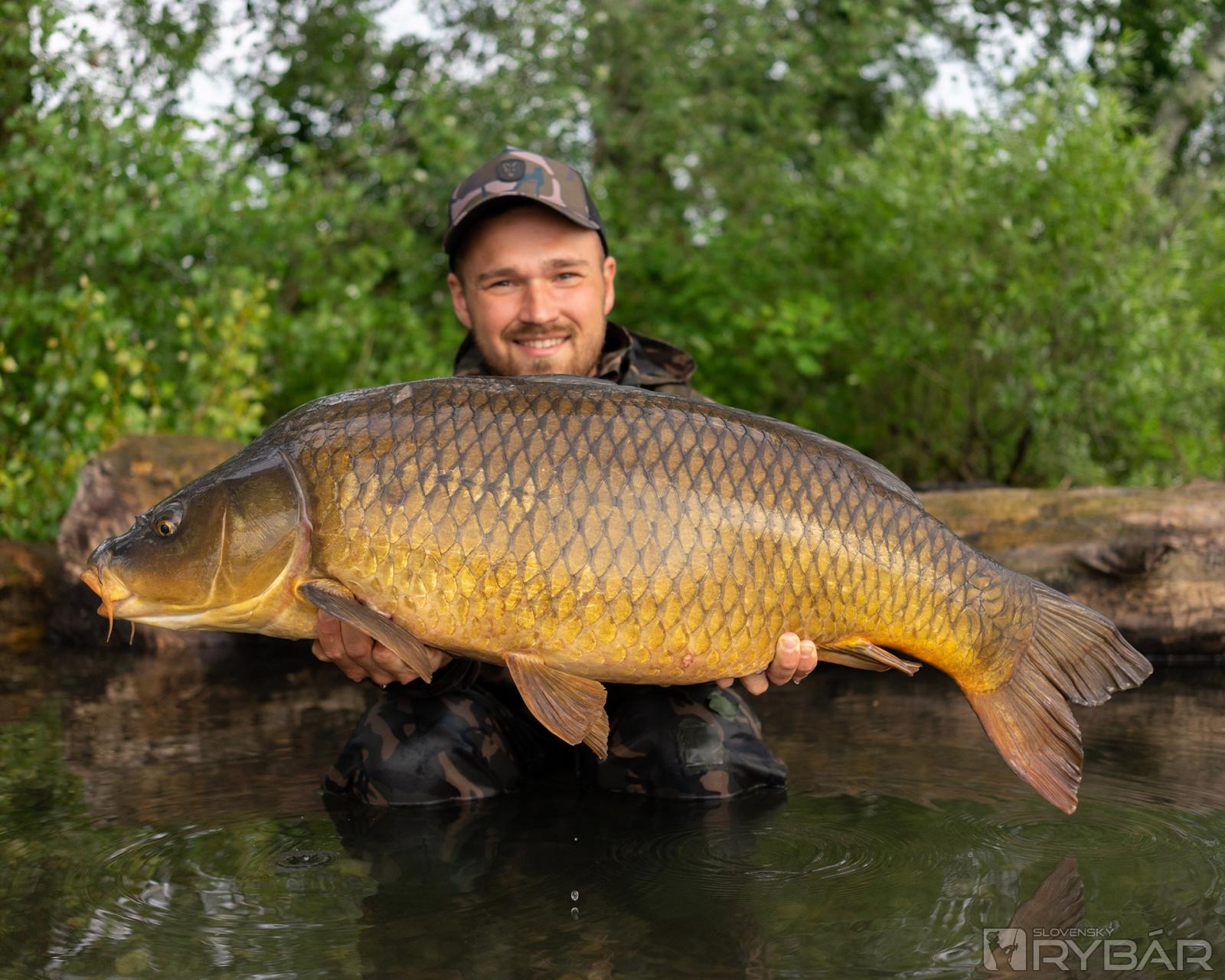 Šupináč s hmotnosťou 16 kg, ktorý neodolal boilies radu C2 (Fresh Crayfish).