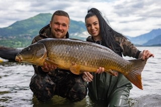 Kapry v talianskom jazere Lago di Pusiano