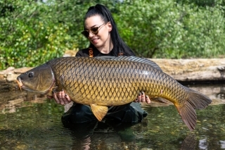 Krásny poobedný šupináč s hmotnosťou okolo 14 kg.