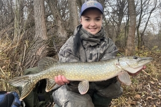 Kočky na rybách Erika Zavřelová