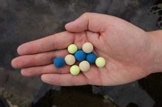 Výborným variantom je použitie klasického plávajúceho boilies, ktorého veľkou výhodou je, že sa s ním dá dlhodobo a opakovane nahadzovať.