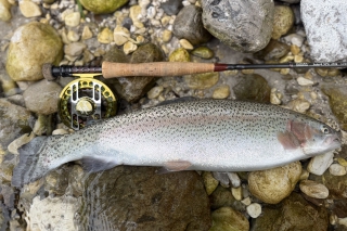 Po európskych revíroch s Filipom, 7. časť – Soča