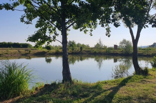 Ako som sa stal rybárom kvôli svojim deťom