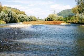 Úsek rieky Kysuce, kde som testoval nástrahy.