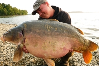 Pupkatý lysec 93 cm a 21,8 kg.