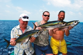 Trio tuniaka žltoplutvého.