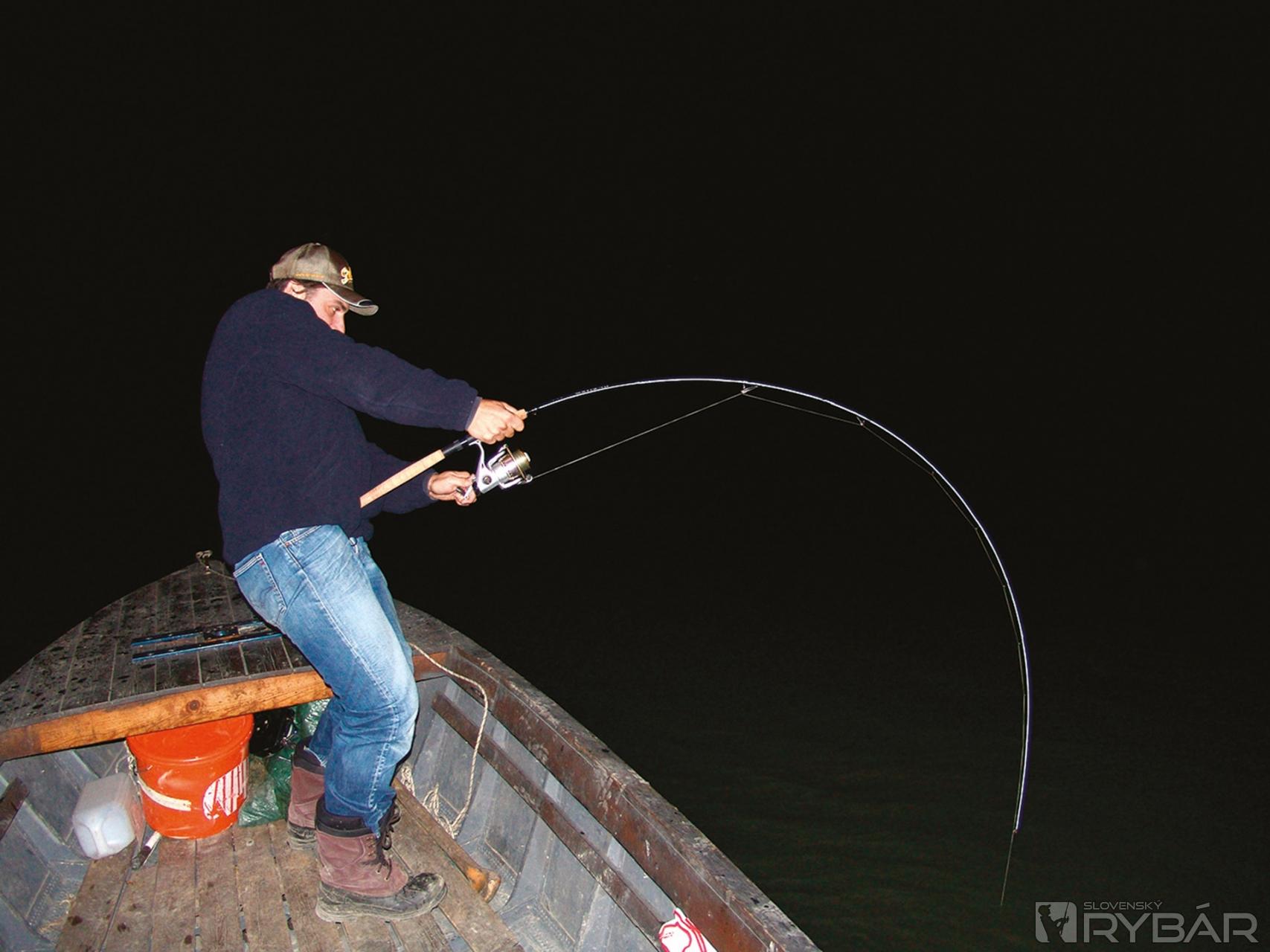 Поймать живую рыбу руками. Спиннинг для рыбалки на сома. Ночная рыбалка на сома. Удочка на сома. Крупная рыба на удочке.