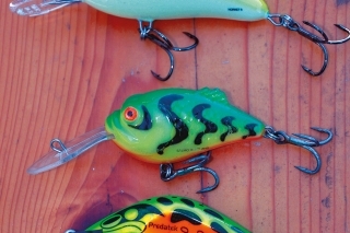 Lovci hlbín - Salmo Hornet 9 - Boxer 7 SDR a Predatek J80 Jindivik.