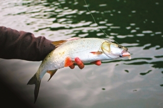 Preťažený ultralight 2