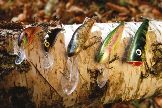 Voblery Salmo do rôznych hĺbok - Hornet, Bullhead SDR, Executor DR a Popper.