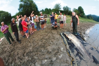 Obdivovateľov sa našlo naozaj dosť.