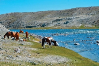 Mongolské dobrodružstvo, 2. časť 4