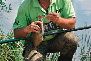 Starý dobrý plavák 1