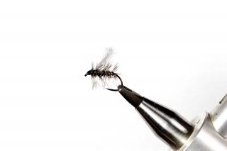 Griffith´s Caddis