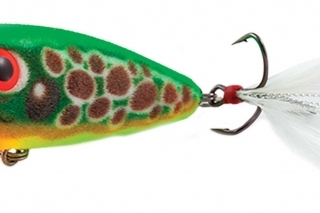 Salmo Fury Pop